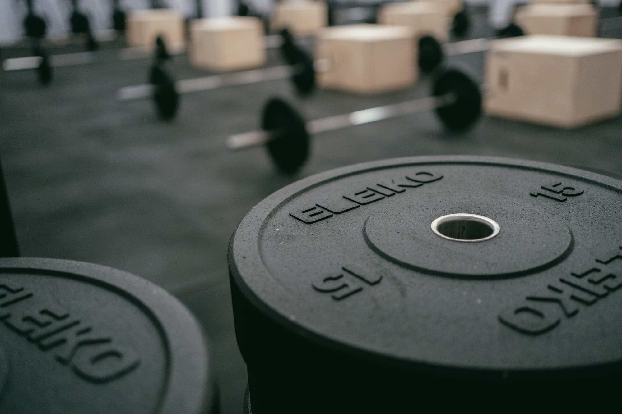 Eleiko bumper plates