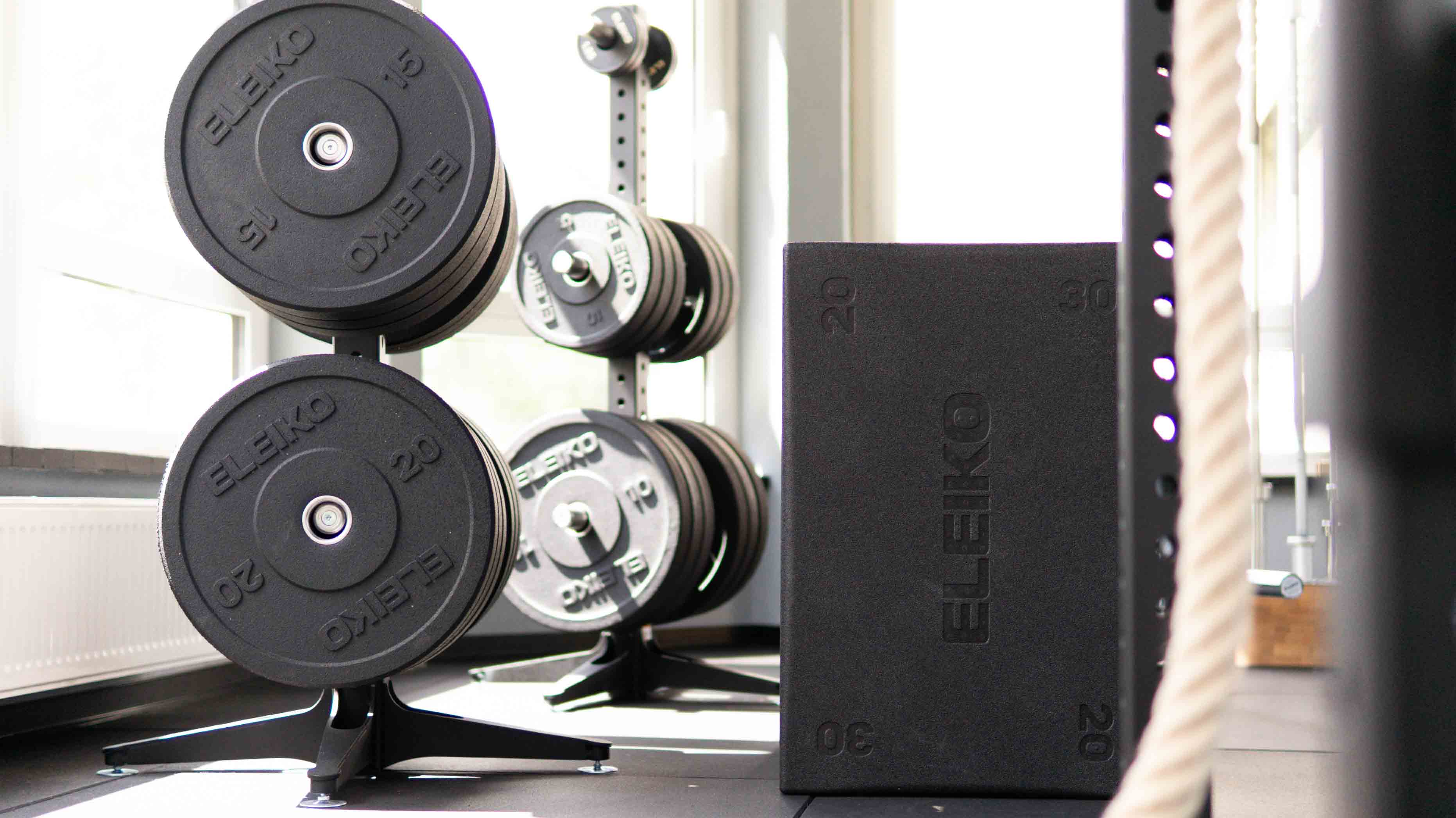 ELEIKO Bumper Plates und Plyo Box im Hybrid Fitness Bereich von The Forge